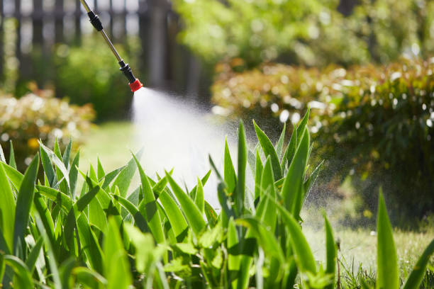 24/7 Emergency Wasp Removal experts in Edmond, OK