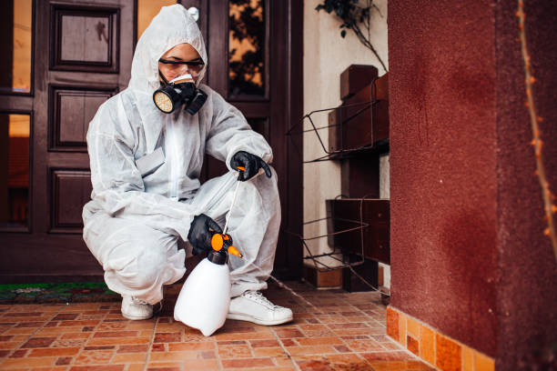 Reliable Wasp Removal contractor in Edmond, OK by Show Me Pest Control