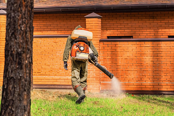 Top rated local Wasp Removal specialists in Edmond, OK